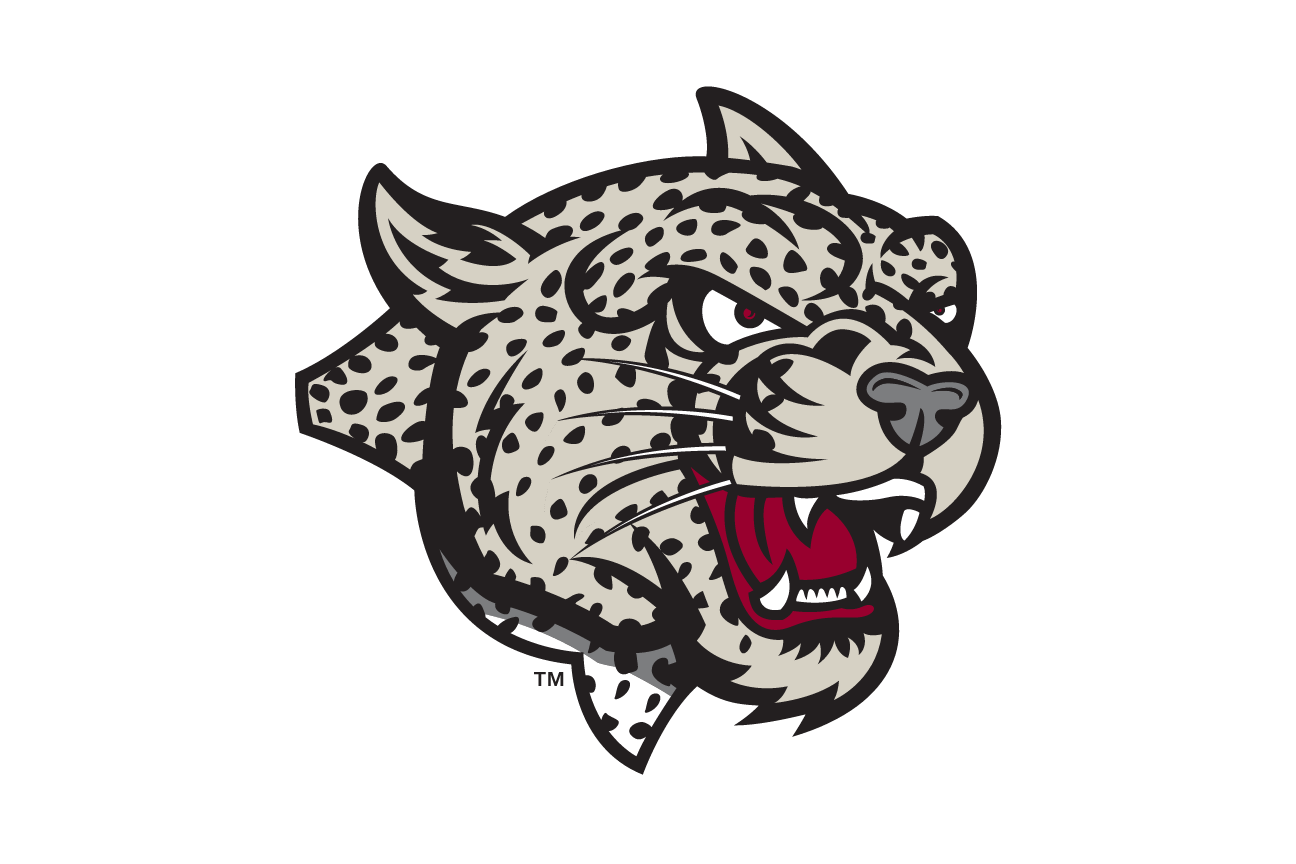 mascot head, grey/black variant, cell 32