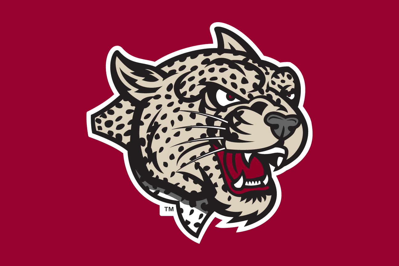 mascot head, full color on maroon variant, cell 33