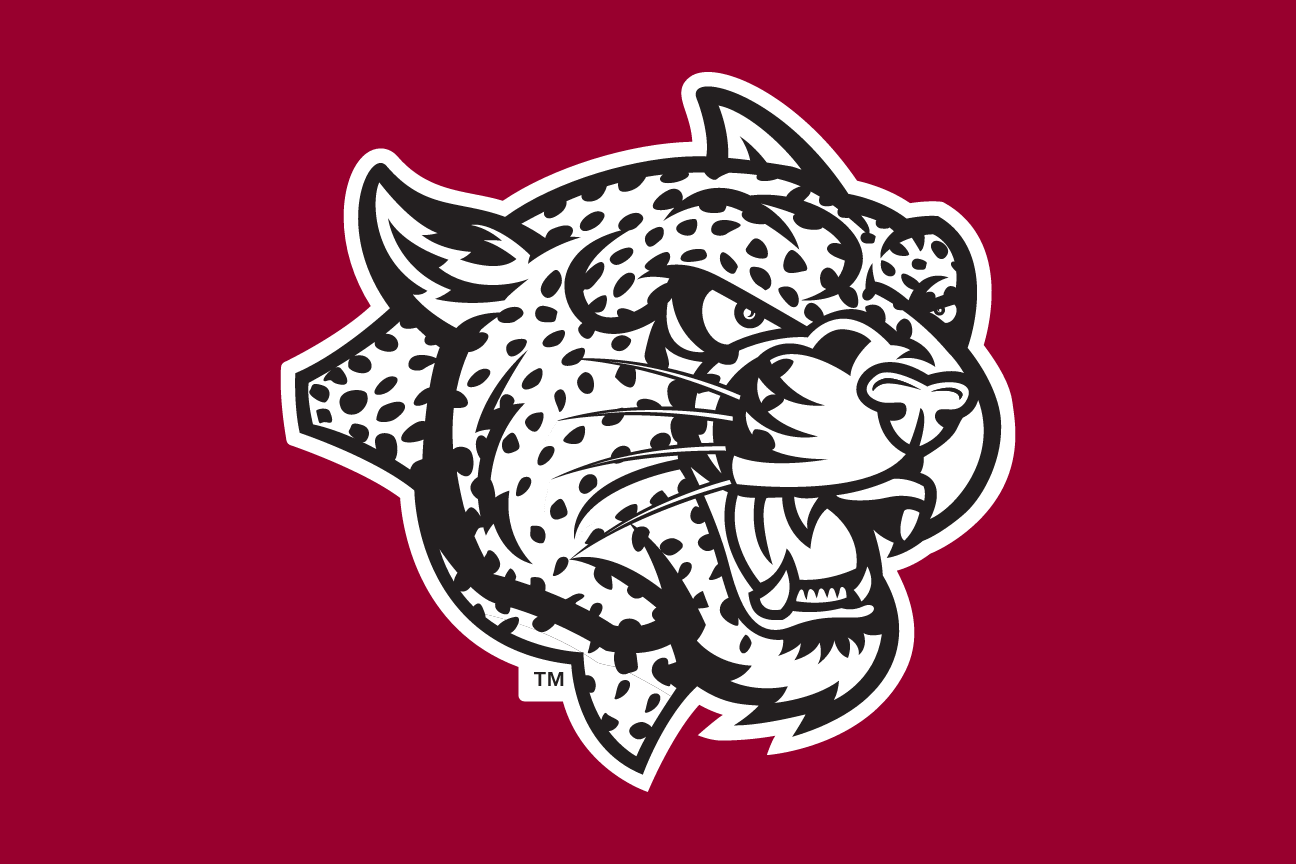 mascot head, white on maroon variant, cell 34