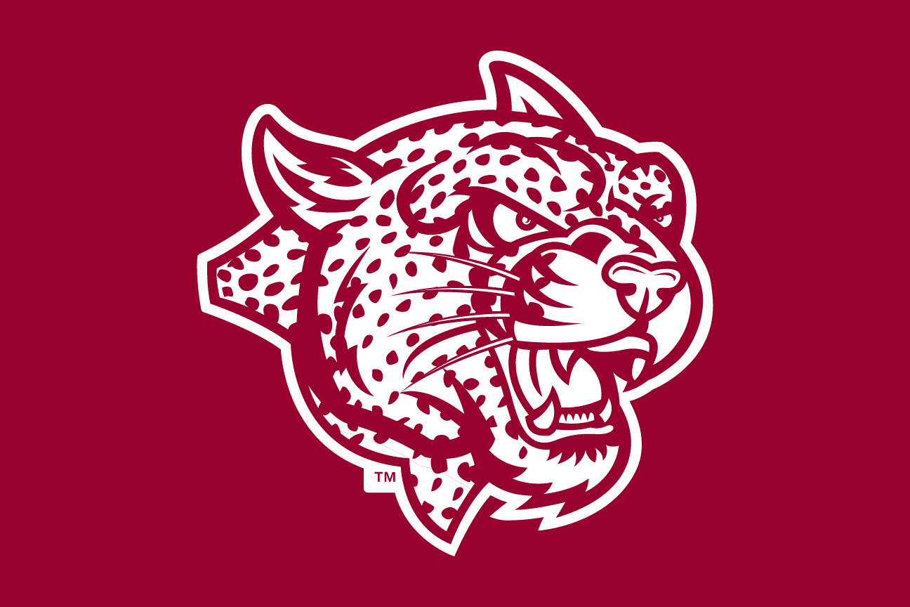 mascot head, maroon/white on maroon variant, cell 35