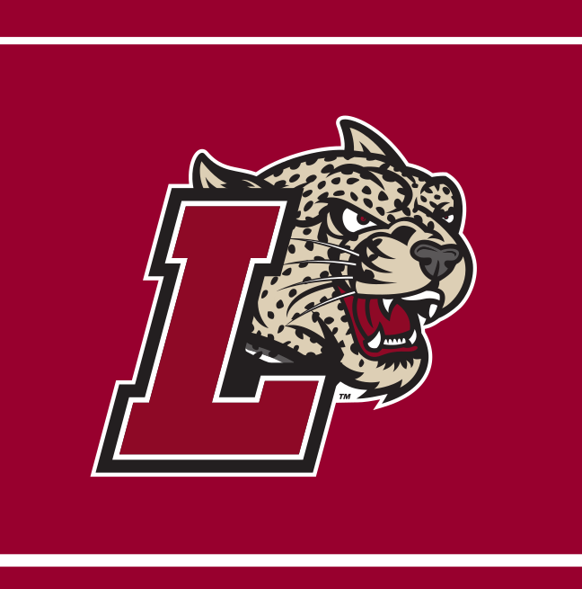 primary logo, full color on maroon variant, cell 5