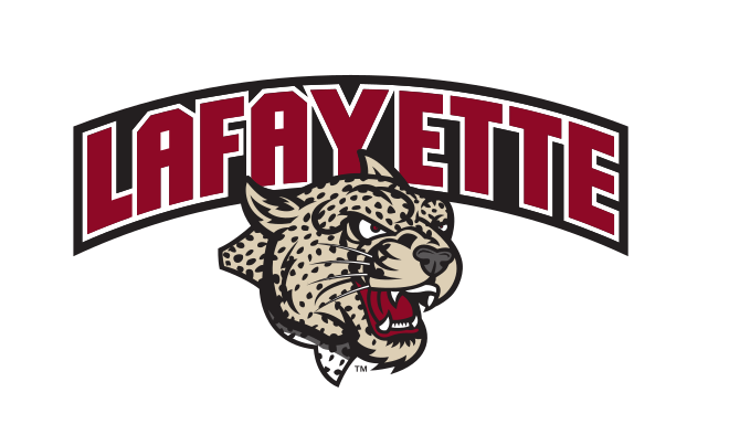 secondary logo, full color variant, cell 8