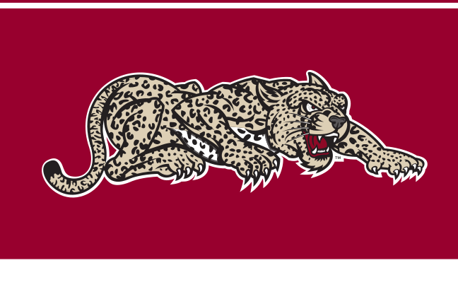 mascot mark, full color on maroon variant, cell 26