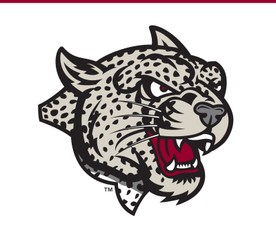 mascot head, grey/black variant, cell 32