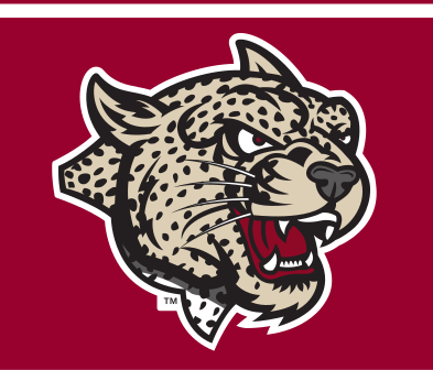 mascot head, full color on maroon variant, cell 33