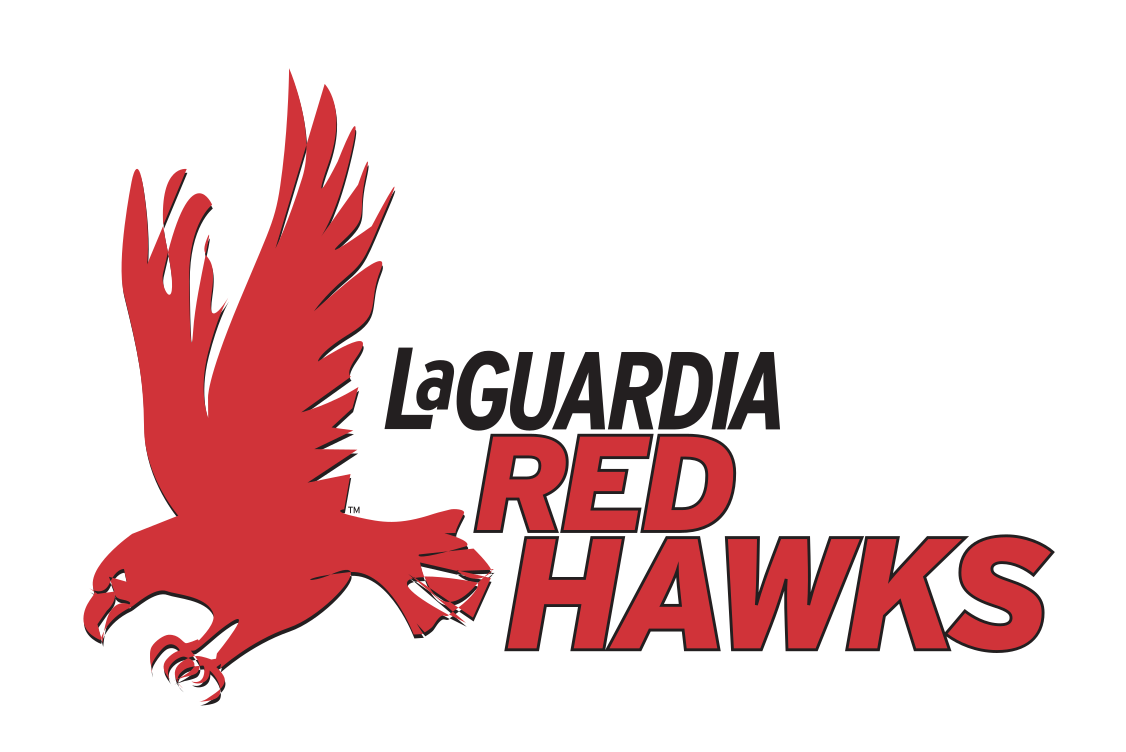 Red Hawks mascot logo, horizontal full color variant, cell 10