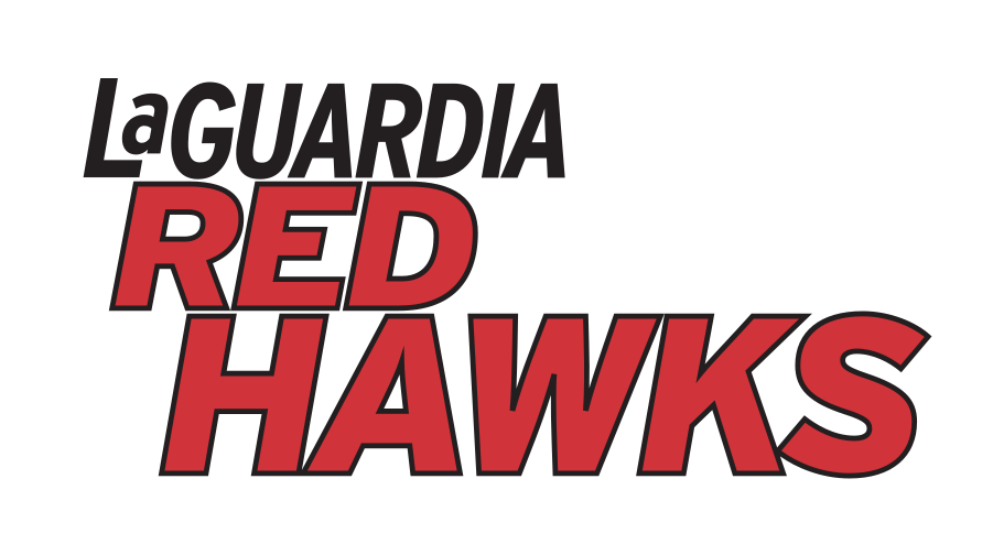 Red Hawks wordmark, full color variant, cell 12
