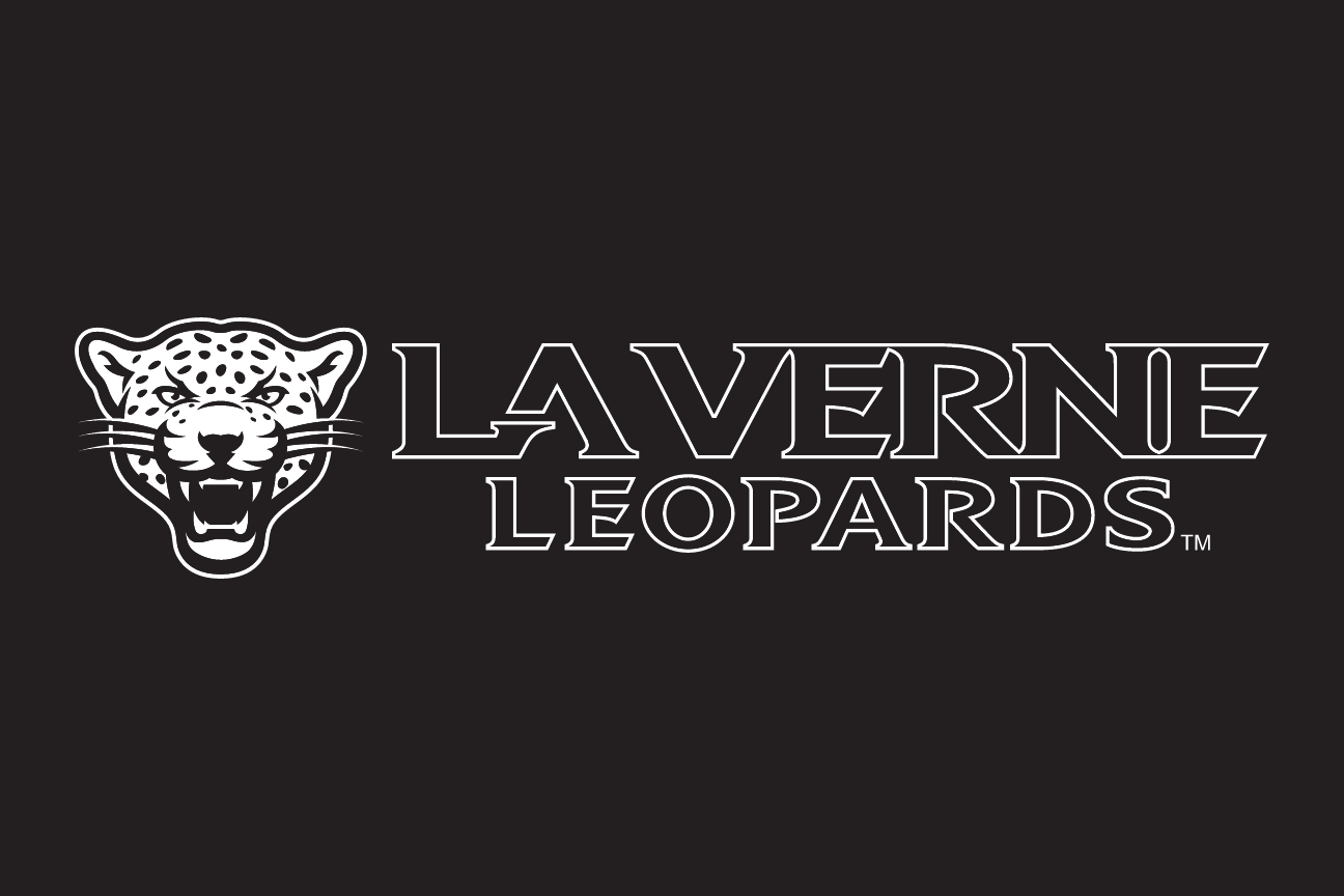 leopard head with wordmark, horizontal small head, grey and white, black background variant, cell 18