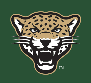 leopard head, full color, green background variant, cell 2