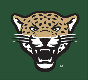leopard head, full color, grey background variant, cell 4