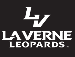 LV lettermark with wordmark, stacked, white and black, black background variant, cell 41