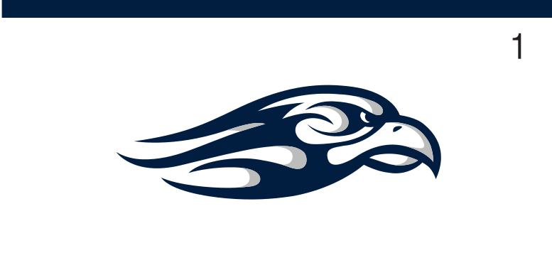eagle head, full color on white variant, cell 13