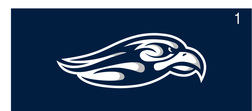 eagle head, full color on navy variant, cell 19
