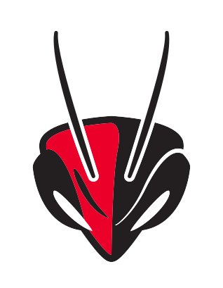 Hornet Head, red/black/white variant, cell 29