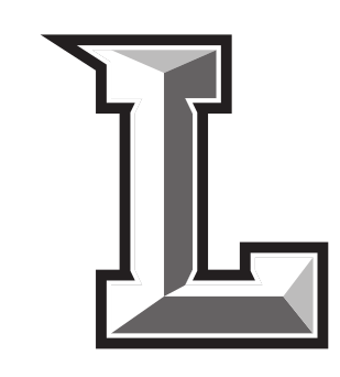Stinger L, grey/black/white variant, cell 35
