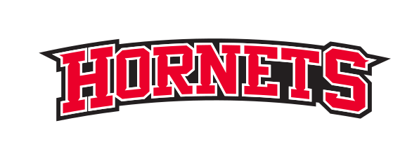 Hornets Wordmark, red/black/white variant, cell 40