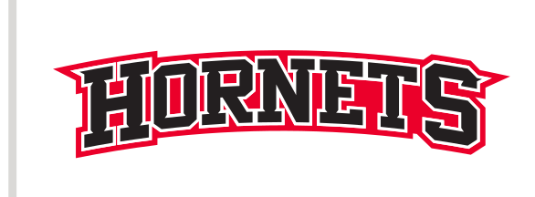Hornets Wordmark, red/black/white variant, cell 41