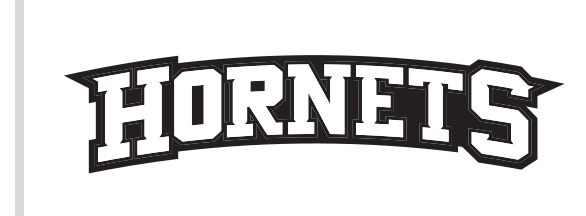 Hornets Wordmark, black/white variant, cell 43