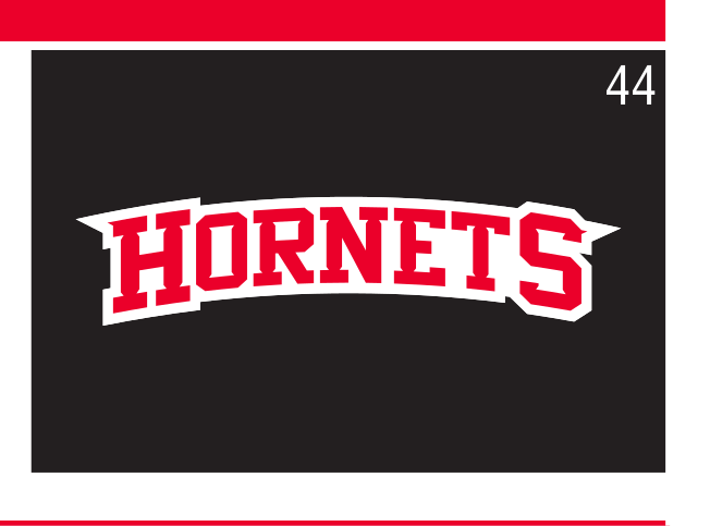 Hornets Wordmark, white reverse variant, cell 44