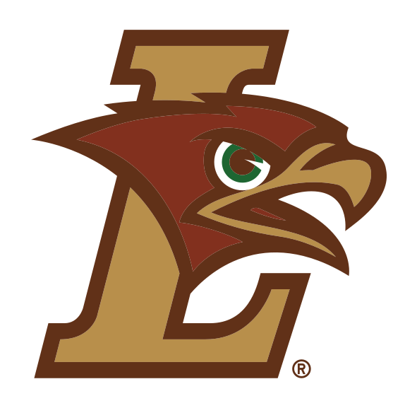 Mountain Hawk L logo, full color variant, cell 21