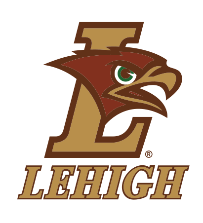 Mountain Hawk L logo with wordmark, full color on gold variant, cell 30