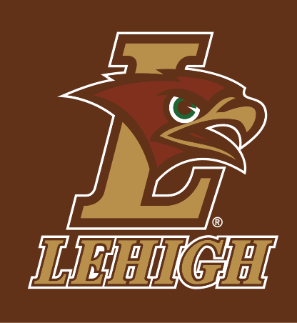 Mountain Hawk L logo with wordmark, full color on brown variant, cell 31