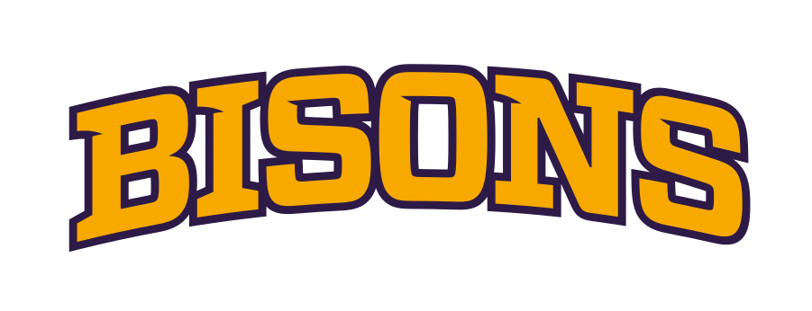 BISONS arched wordmark, gold with purple outline variant, cell 12