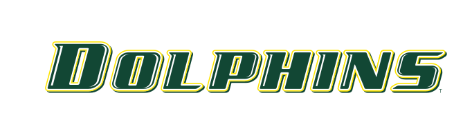 DOLPHINS wordmark, color variant, cell 31