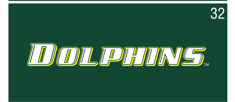 DOLPHINS wordmark, color on green variant, cell 32