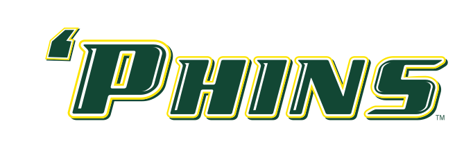 'PHINS wordmark, color variant, cell 35