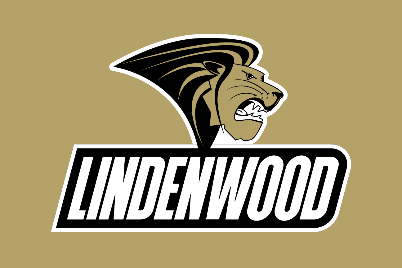 mascot head with wordmark, gold/black on gold variant, cell 3