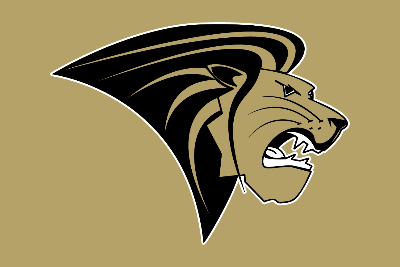 mascot head, gold/black on gold variant, cell 9