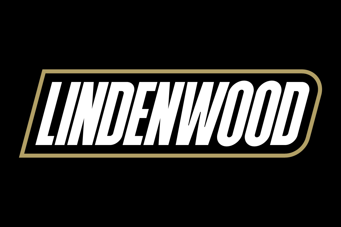 wordmark, gold/white on black variant, cell 14
