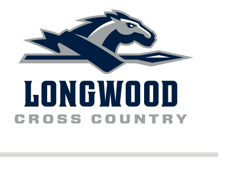 Lancer sport logo, Cross Country blue variant, cell 56