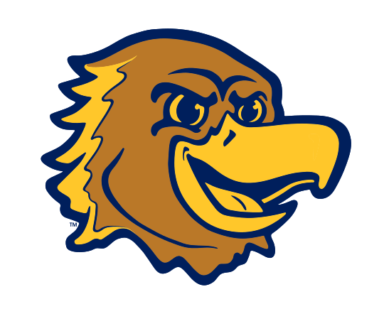 Golden Eagle head, color variant, cell 12