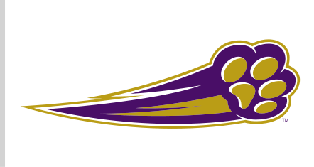 paw print with motion lines, purple/gold variant, cell 21