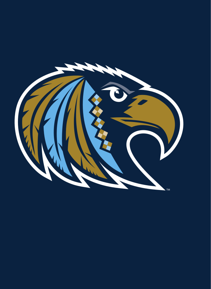Choctaw mascot head, metallic gold on navy variant, cell 64