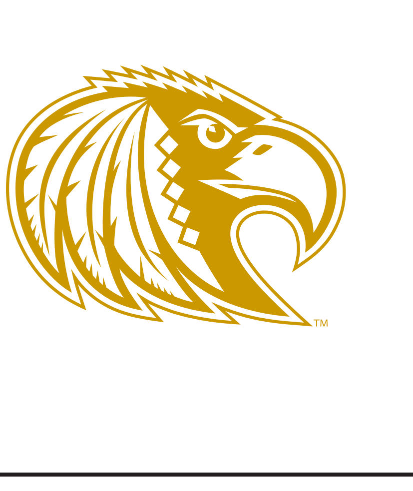 Choctaw mascot head with outline, gold variant, cell 77