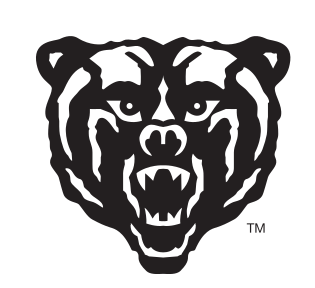 Bear head mascot, black variant, cell 17