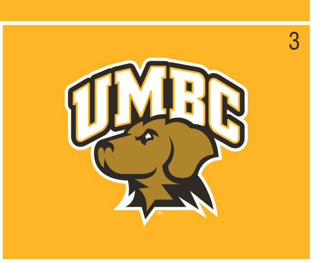 UMBC Retriever head with wordmark, full color on gold variant, cell 3