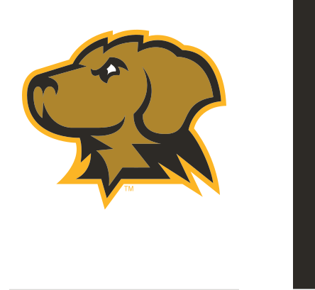 retriever head, full color variant, cell 24