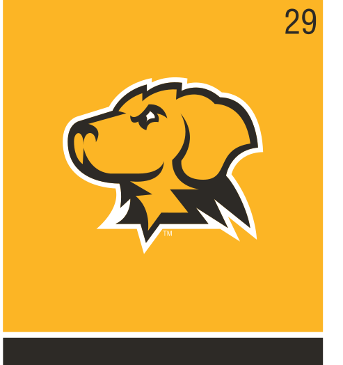retriever head, 2-color on gold variant, cell 29