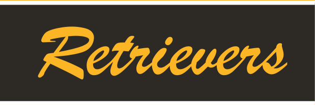 Retrievers wordmark, script, gold fill, black outline variant, cell 85