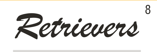 Retrievers wordmark, script, black fill, no outline variant, cell 87