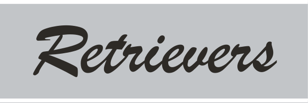 Retrievers wordmark, script, black fill, no outline on grey variant, cell 90