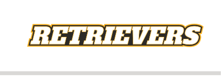 Retrievers wordmark, block, gold fill, black outline variant, cell 99