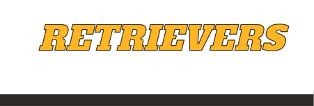 Retrievers wordmark, block, gold fill, no outline variant, cell 103