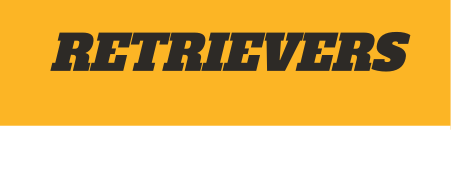 Retrievers wordmark, block, gold fill, no outline on yellow variant, cell 108
