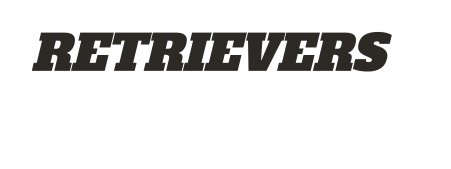 Retrievers wordmark, block, black fill, no outline variant, cell 110