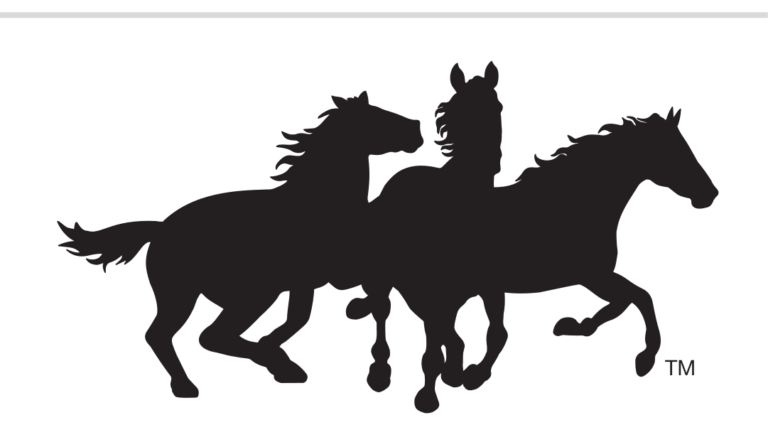 Three running horses spirit mark, black variant, cell 14